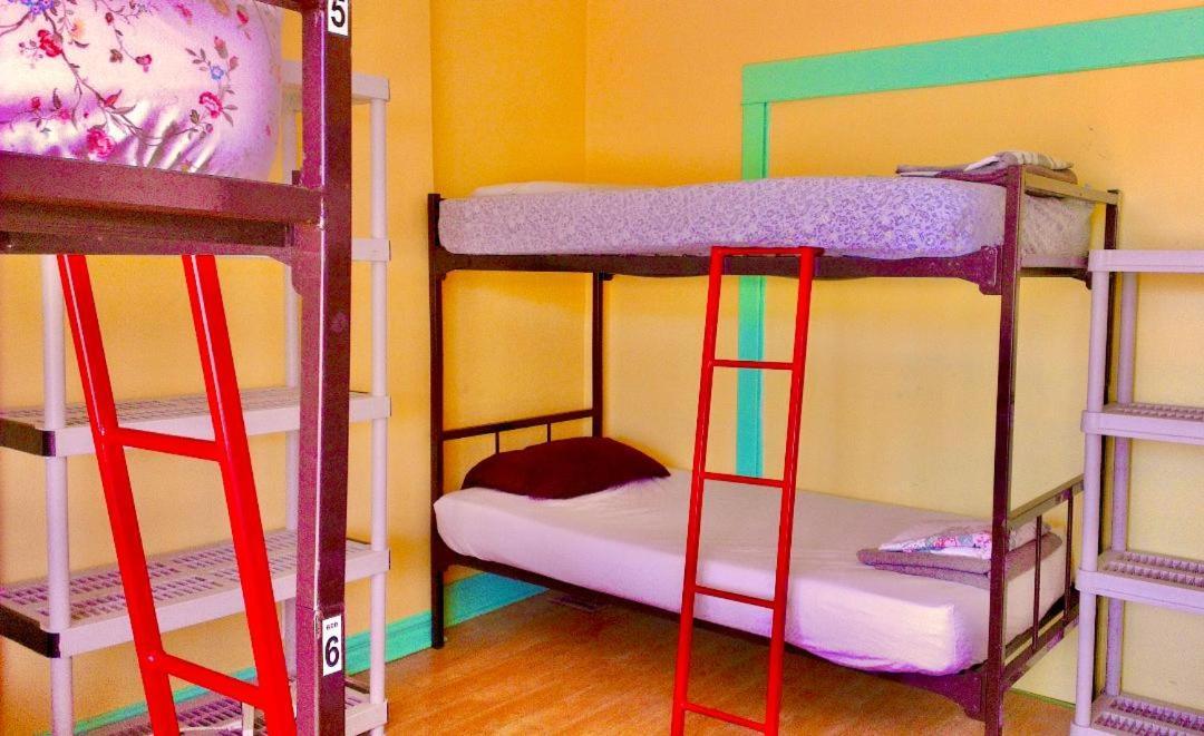 The Only Backpacker'S Inn (Adults Only) Toronto Dış mekan fotoğraf